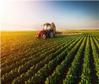 «الزراعة»: موسم حصاد القمح الحالي الأكبر في تاريخنا | فيديو