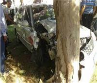 إصابة شخصين في حادث اصطدام سيارة بشجرة بالغربية