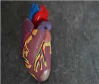 دراسة تكشف عوامل إصابة النساء بالنوبة القلبية أكثر من الرجال