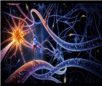 علماء يكتشفون الخلايا العصبية المسؤولة عن «السلوك الاجتماعي»