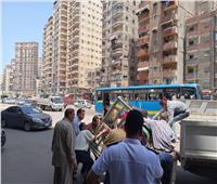 ضبط 1072 حالة إشغال من المقاهي وغلق 12 منشآة بالإسكندرية