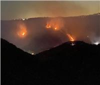 حرائق كاليفورنيا تدمر 20 منزلا و195 فدانًا | صور وفيديو