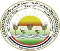 وزير الزراعة: «القطاع» استطاع الصمود وحقق نمواً 4% خلال جائحة كورونا