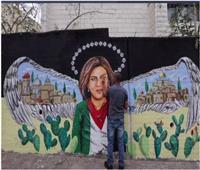 شاهد| جداريات لتخليد ذكرى الصحافية الفلسطينية شيرين أبو عاقلة