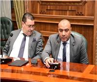 «نائب دمياطي» يطالب بتوطين الصناعة المحلية وتعميقها وزيادة المكون المحلي