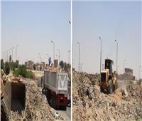 رفع 10000 طن قمامة من طريق مصنع السلام لتدوير المخلفات
