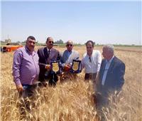 وكيل زراعة المنيا يقود ماكينة حديثة لحصاد القمح لتشجيع المزارعين على استخدامها