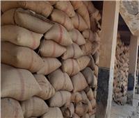 توريد 131 ألف طن من القمح للشون والصوامع في بني سويف