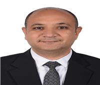 د. يحيى هاشم يكتب: مستقبل مصر.. رؤية قائد وإرادة وطن