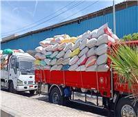 توريد 147 ألف طن من القمح للشون والصوامع في بني سويف