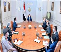 الرئيس السيسي يتابع مشروعات شركة تنمية الريف المصري 