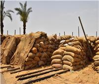 محافظ أسيوط: 121 ألف طن كمية القمح المحلي الموردة بصوامع المحافظة  