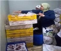  ضبط 5 أطنان و657 كيلو دجاج منتهية الصلاحية بالعاشر من رمضان