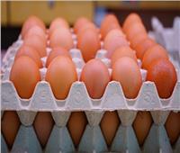 أسعار البيض بالأسواق الثلاثاء 31 مايو