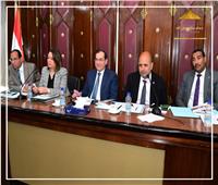 اتفاق مصر والإمارات على مشاريع الطاقة المتجددة العملاقة خطوة للمستقبل
