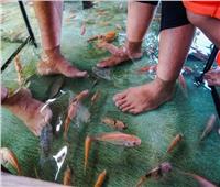 أغرب عشاء في العالم.. أندونيسيون يتناولون الطعام والسمك يتغذى على أقدامهم 