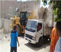 رفع 47 طن قمامة من شوارع دشنا في قنا