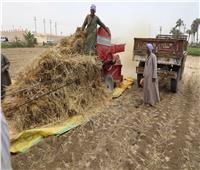 شون وصوامع المنيا تستقبل 445 ألف طن من محصول القمح بجميع المراكز