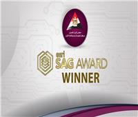 الوزراء: منح الإصدار الرقمي «وصف مصر بالمعلومات» جائزة «SAG Award» الأمريكية