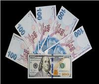 الليرة التركية تسجل تراجعا جديدا امام الدولار الأمريكي