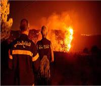 مروحيات الجيش اللبناني تخمد حريق غابات الصنوبر