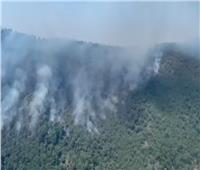 شاهد| حرائق غابات بجنوب إسبانيا تتسبب في إجلاء سكان بلدة وإصابة 3 أشخاص 