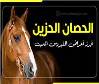 إنفوجراف| الحصان الحزين أبرز أعراض الفيروس المميت