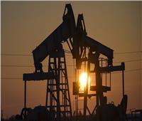 رئيس وزراء سريلانكا: قد نضطر لشراء النفط من روسيا لحل أزمة الوقود