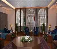 أبو الغيط يناقش العليمي تطورات القضية اليمنية 