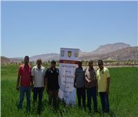 بحوث الصحراء والعربية للتنمية الزراعية ينفذان أنشطة لإدماج أبناء سيناء بوادي فيران