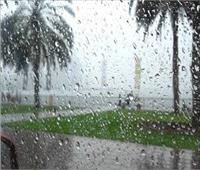 هطول أمطار خفيفة على مدينة العريش.. وحماية البيئة: ظاهرة غريبة