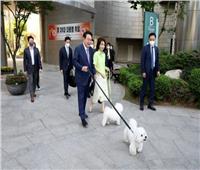 زوجة رئيس كوريا الجنوبية: أوقفوا استهلاك لحوم الكلاب| صور