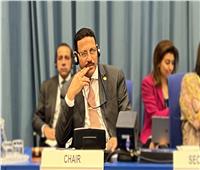 برئاسة الوزير عبد الشافي.. استمرار جلسات مجموعات اتفاقية مكافحة الفساد بفيينا