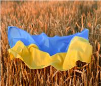 ماكرون يدعو روسيا للسماح للأمم المتحدة بتنظيم تصدير الحبوب من أوكرانيا