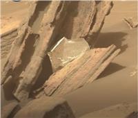 «قمامة بشرية» على سطح المريخ.. فيديو
