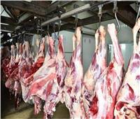 قبل عيد الأضحى| تعرف على أسعار اللحوم بمنافذ وزارة الزراعة | فيديو