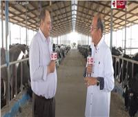 نائب وزير الزراعة يكشف خطة الدولة لتنمية الثروة الحيوانية| فيديو
