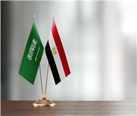 مساعد وزير الخارجية الأسبق: العلاقات المصرية السعودية في تطور ملحوظ وملموس |فيديو 