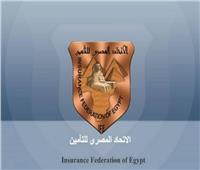 الاتحاد المصري للتأمين يكشف مخاطر الهجمات الإلكترونية في المؤسسات المالية