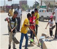 بدء تنفيذ مبادرة «مدينتي نظيفة» بالرديسية في أسوان