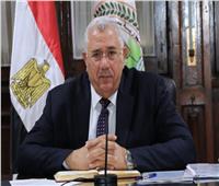 وزير الزراعة: مصر الأولى عالميا في إنتاج القمح الربيعي