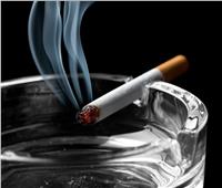 رئيس شعبة الدخان يكشف أسباب خروج شركة شهيرة للسجائر من السوق المحلية