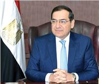 مباحثات مصرية جزائرية لتعزيز الشراكة في مجال الطاقة