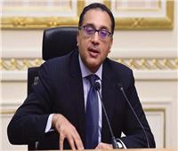 رئيس الوزراء: توفير بنية أساسية لتسيير خط ملاحي بين مصر والجزائر
