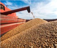 كييف تعلن تصدير الحبوب عبر ثلاثة موانئ أوكرانية