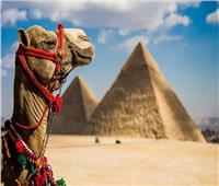 تطوير البنية التحتية.. جهود الدولة المصرية للنهوض بقطاع السياحة    