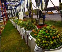 استقرار أسعار الفاكهة في سوق العبور اليوم 3 يوليو 2022