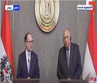وزير خارجية النمسا: مصر شريك أساسي لبلادنا والاتحاد الأوروبي