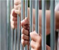 المشدد 15 سنة لـ8 متهمين في سرقة مواشي من مزرعة بالحوامدية