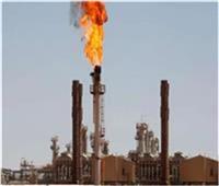 خبير: مصر أصبحت ضمن الخمسة العرب الكبار في إنتاج الغاز الطبيعي 